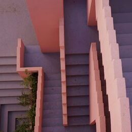 ©-Maxine-Yang-I-Unsplash (1)