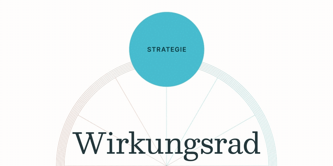 PHINEO Wirkungsrad