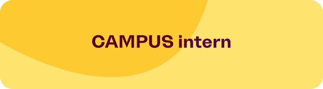 Section intern