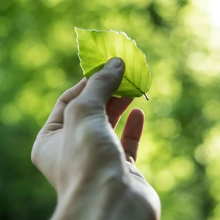 tobias-weinhold-hXPomXrpUP0-unsplash-1-scaled (2) (1)